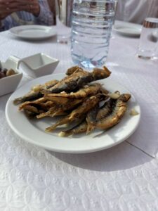 Sardines